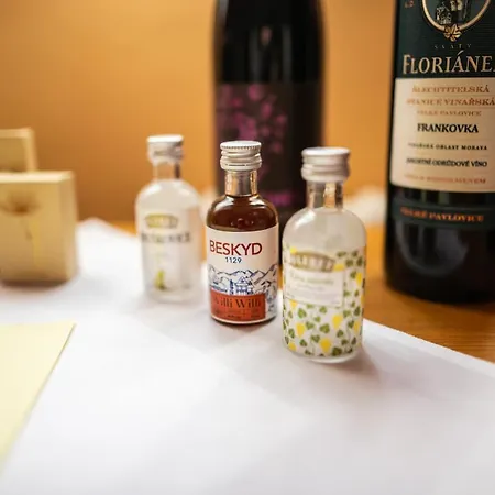 아파트호텔 Libusin & Mamenka Narodni Kulturni Pamatky Prostřední Bečva